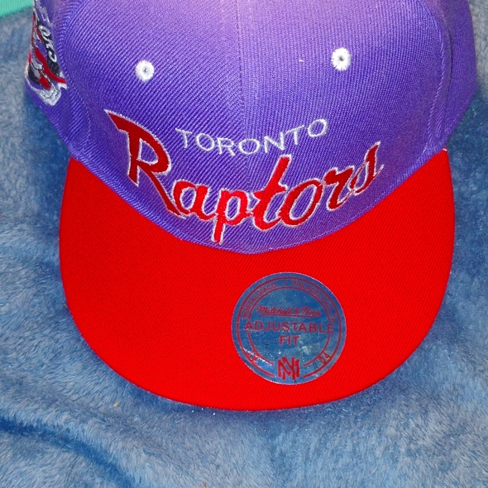 Raptors SnapBack